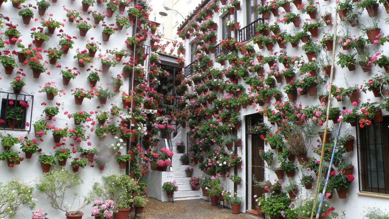 El Balcon De La Mezquita Appartement Córdoba Buitenkant foto